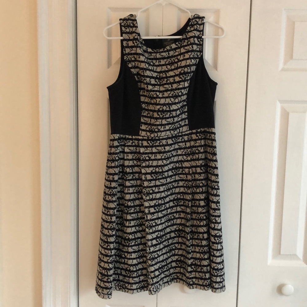 Adrianna Papell Black Detail Dress
